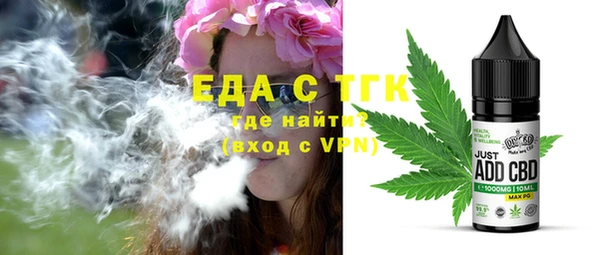 индика Вязьма
