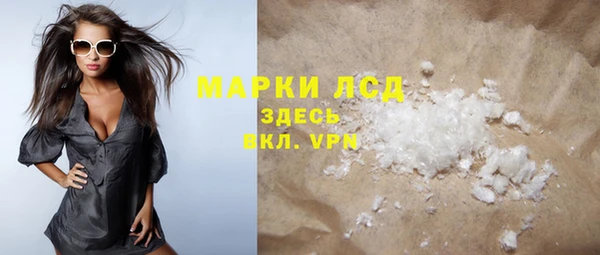 индика Вязьма