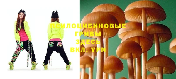 spice Вяземский