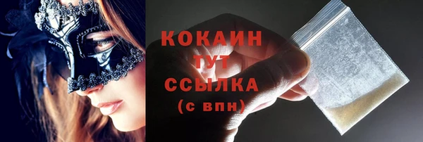 индика Вязьма