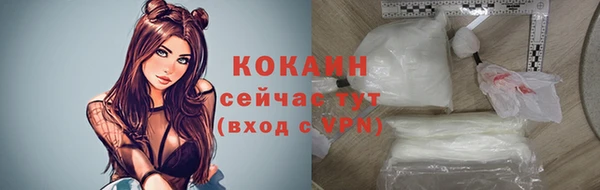 индика Вязьма