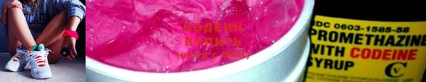 индика Вязьма
