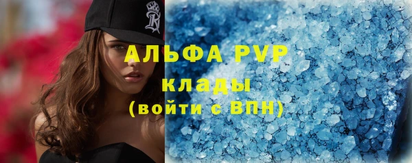 индика Вязьма