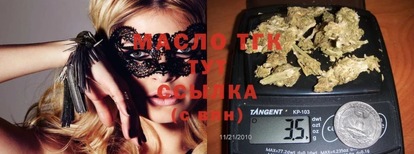индика Вязьма