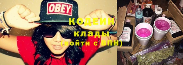индика Вязьма