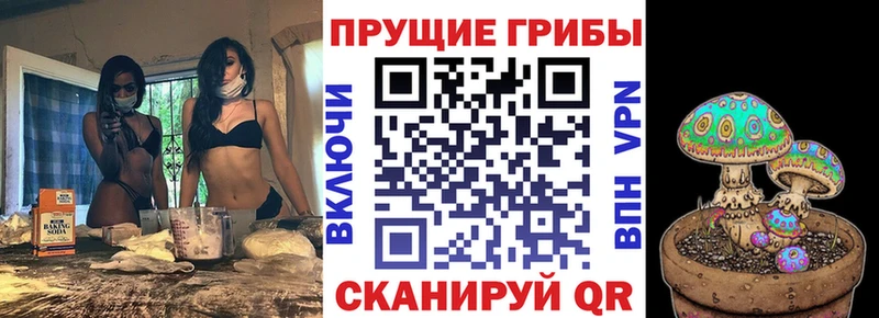 наркота  Заволжье  Псилоцибиновые грибы Magic Shrooms 