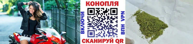 купить наркотик  Заволжье  Конопля ГИДРОПОН 